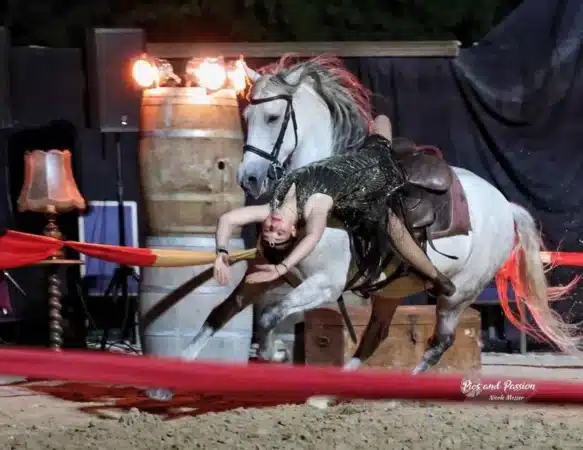 Trois jours de fête et un spectacle équestre dimanche 27, à Cardeilhac.