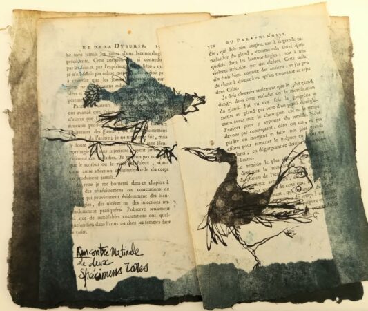 Le talentueux auteur-illustrateur Albert Lemant débutera le cycle de conférences avec une présentation de son métier, au Vent des Mots.