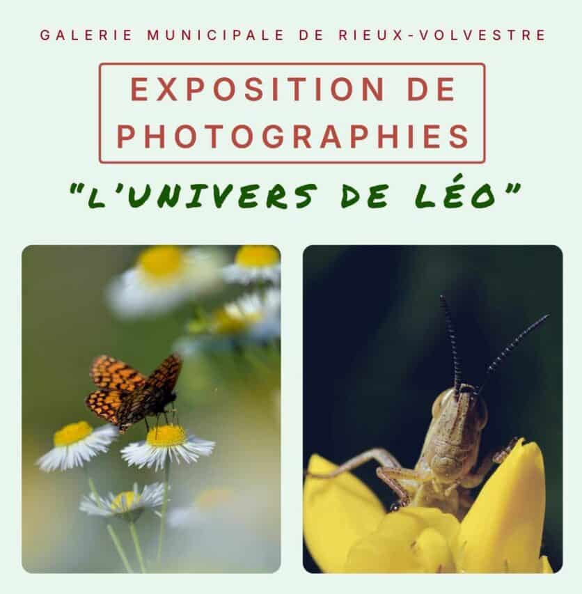 Un bel hommage !