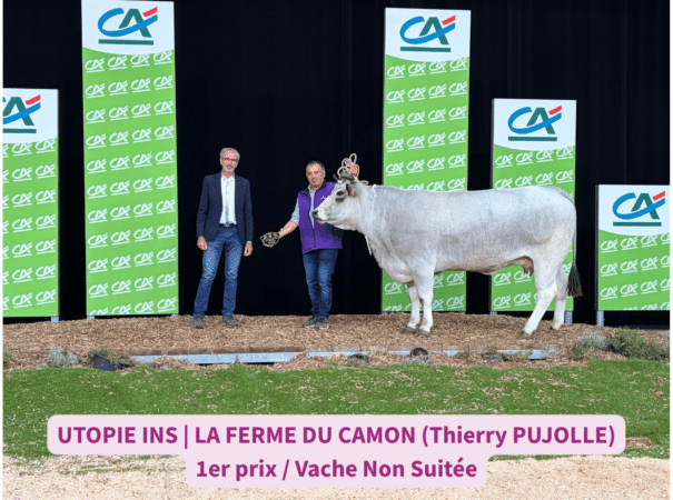 Félicitations à l'éleveur Thierry Pujolle