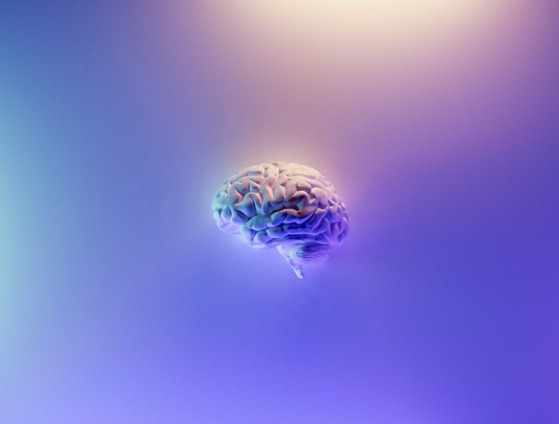 La méthode éducative somatique Feldenkrais expliquée en conférence à L'Isle en Dodon.