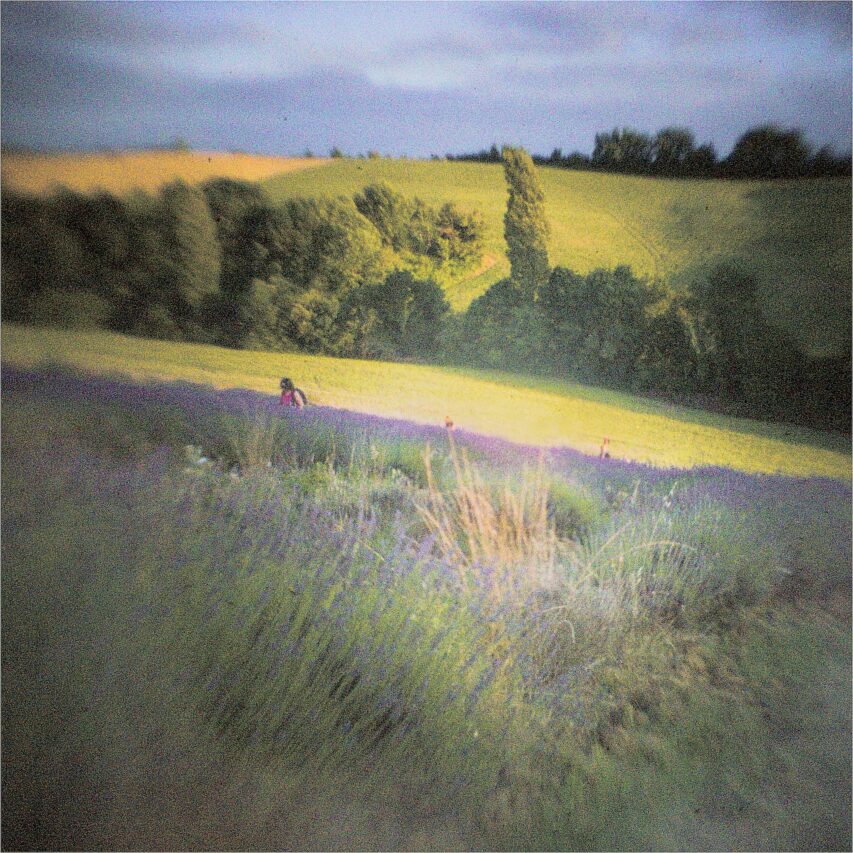 Un champ de lavande, comme un mirage d'un autre âge, par le talentueux photographe William Massias.